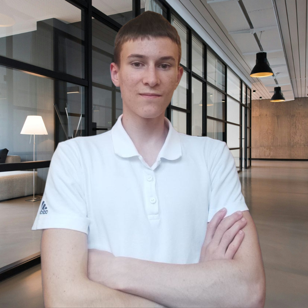 Professional profile